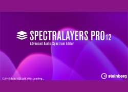 Steinberg SpectraLayers Pro 12