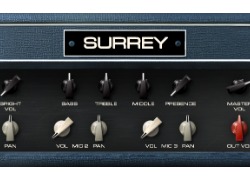 Acustica Audio - Best Price - SURREY (SoundDrops)