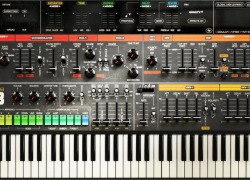 Acustica Audio THING