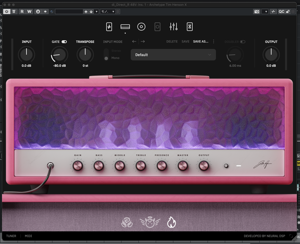 Neural DSP Archetype: Tim Henson X