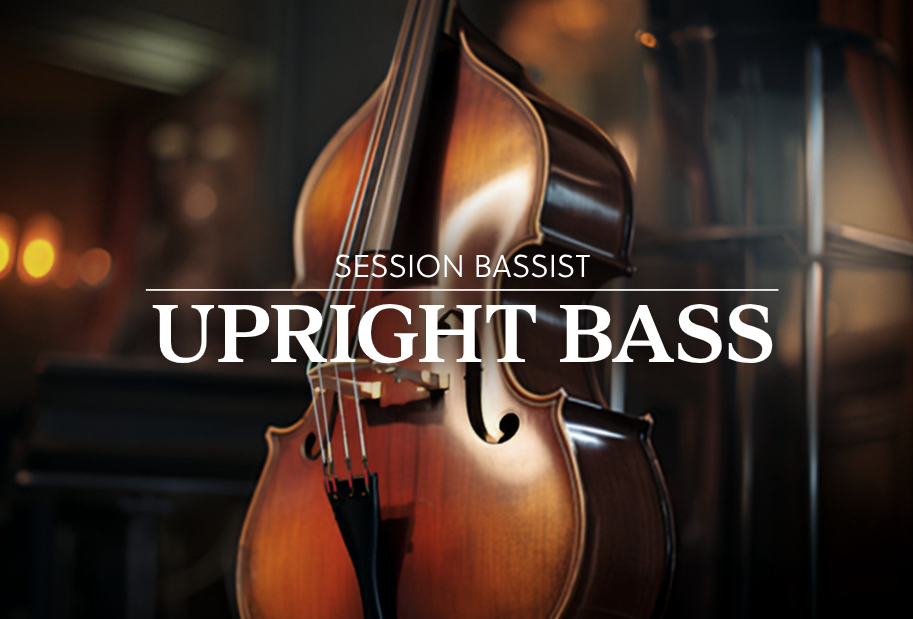 Native Instruments Session Bassist - Upright Bass