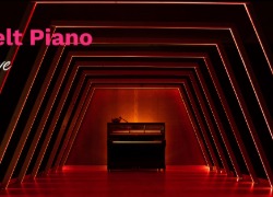 Steinberg Verve —       Felt Piano