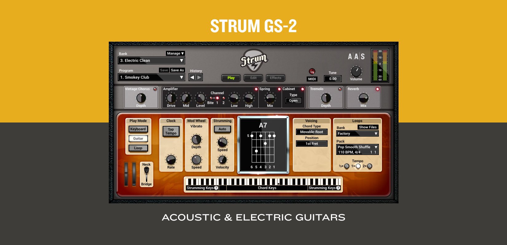 AAS Applied Acoustics Systems Strum GS-2 & 11  Sound Packs  (Full  Version)