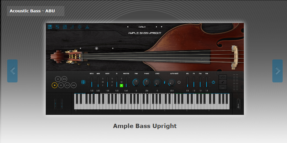Ample Sound Ample Bass Upright