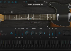Ample Sound Ample Guitar TC