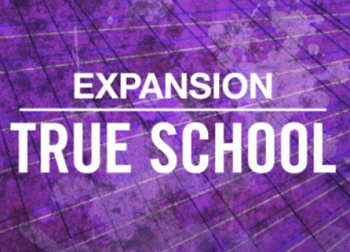 Native Instruments True School - Expansion