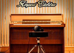 Steinberg Amped Elektra