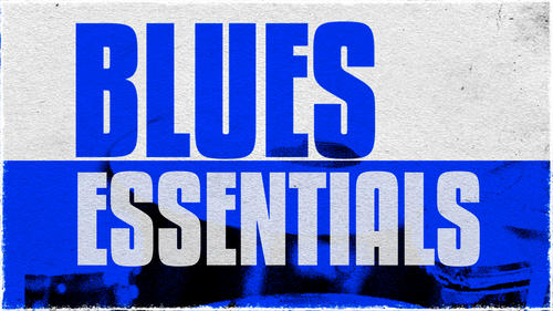 Steinberg Blues Essentials for Groove Agent