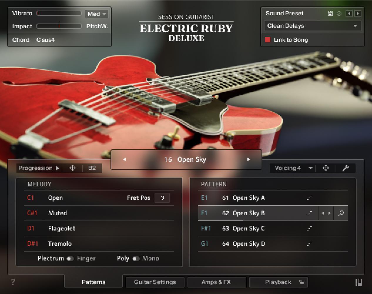 NATIVE INSTRUMENTS SESSION GUITARISTS ELECTRIC RUBY