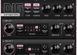 strymon DIG