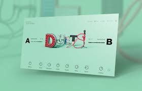 Native Instruments Duets