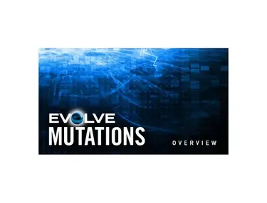Native Instruments Evolve Mutations Bundle & Evolve