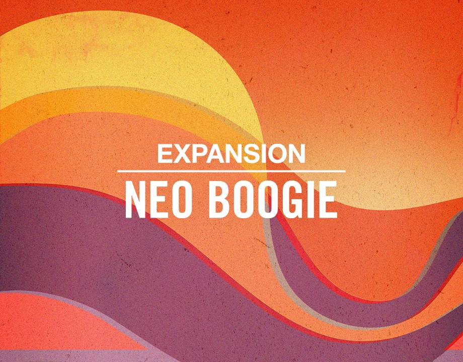 Native Instruments Maschine Expansion - Neo Boogie