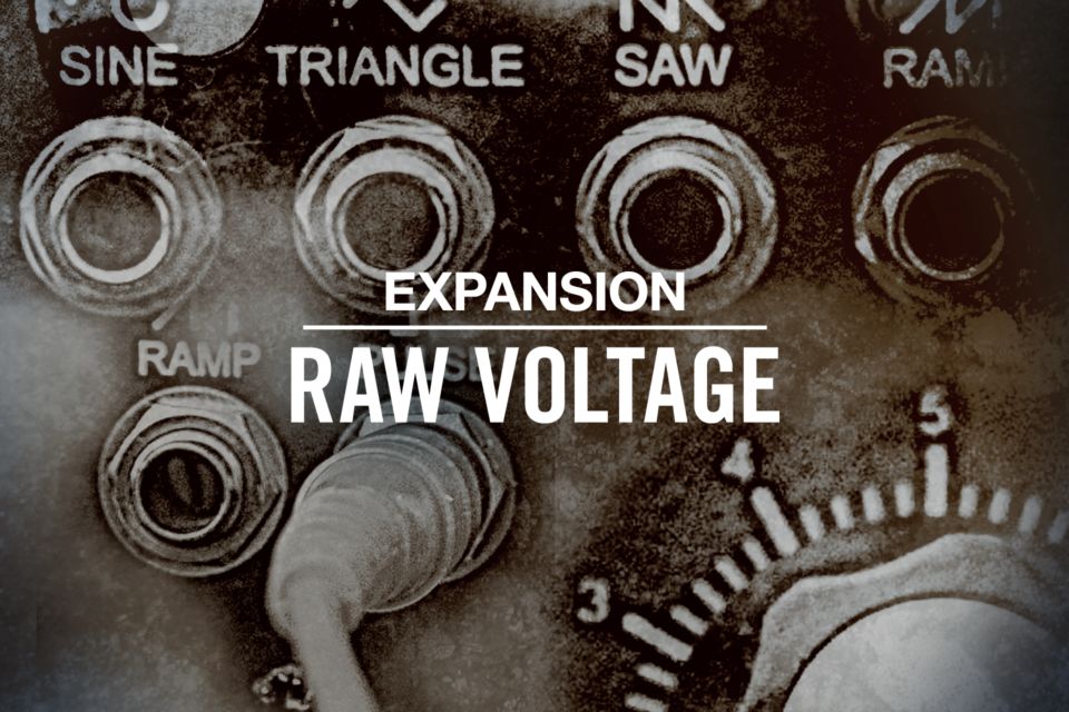 Native Instruments RAW VOLTAGE