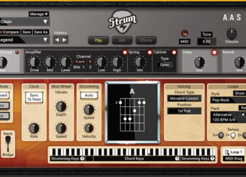 AAS Applied Acoustics Systems STRUM GS-2