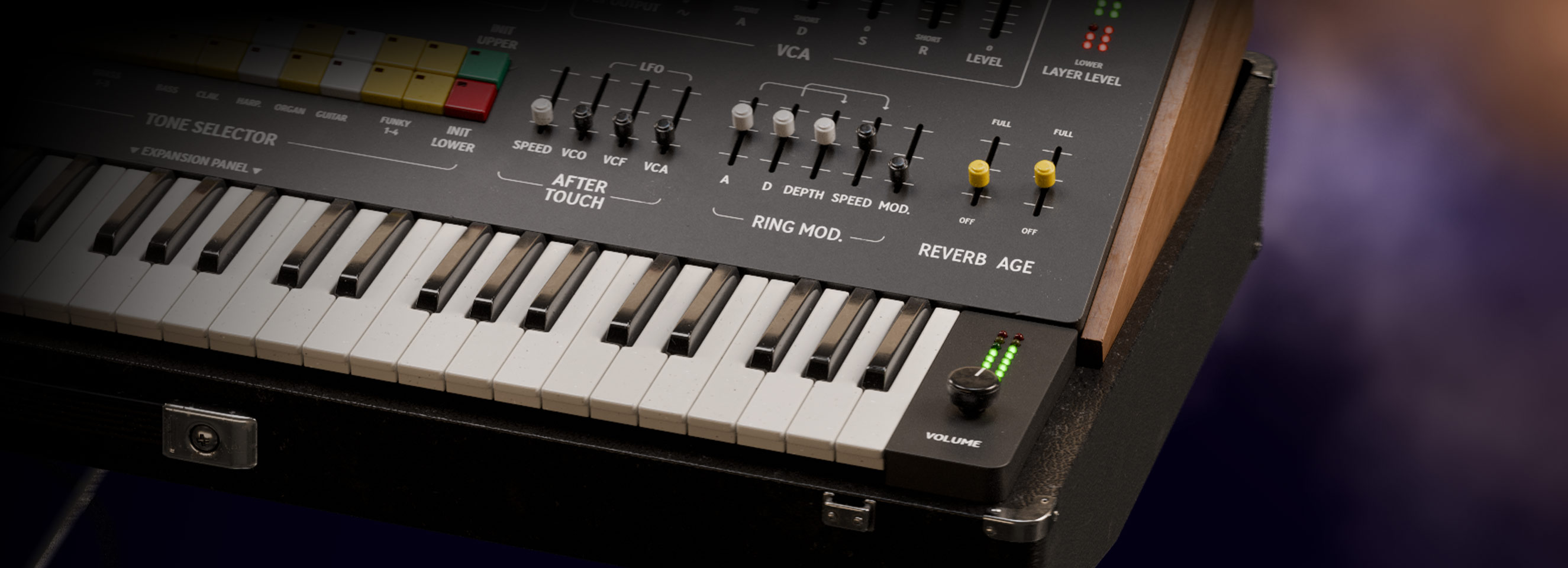 Softube Model 77, Model 80, Model 82, Model 84