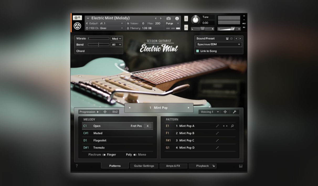 Native Instruments Session Guitarist - Electric Mint