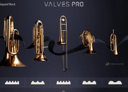 Native Instruments Valves Pro