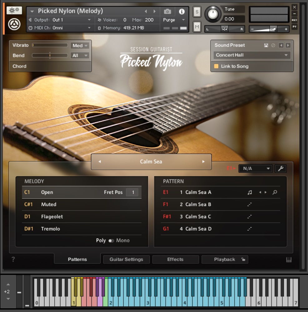 Native Instruments Session Guitarist - Picked Nylon