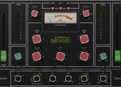 Acustica Audio - Best Price - OLIVE