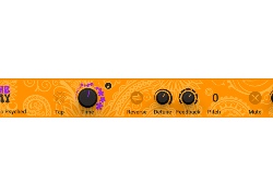 Native Instruments Psyche Delay