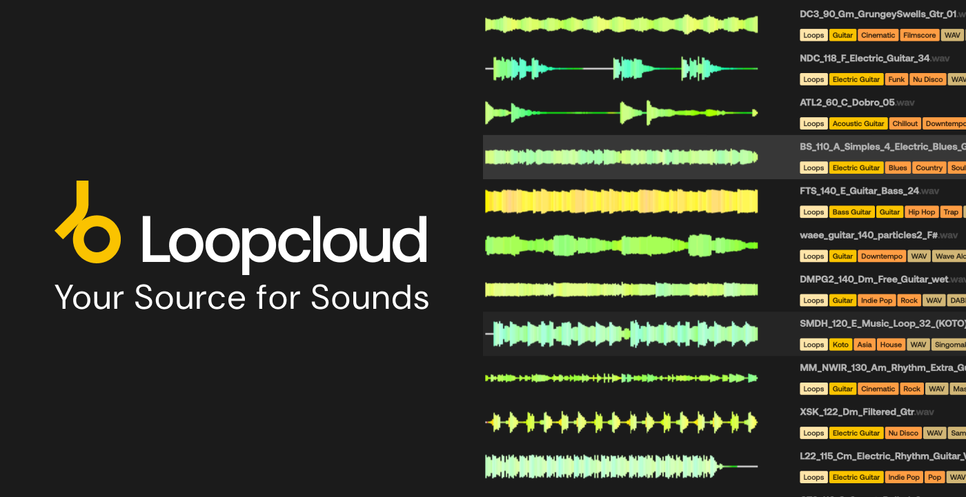 Loopcloud Loopcloud 1-Month Artist Plan