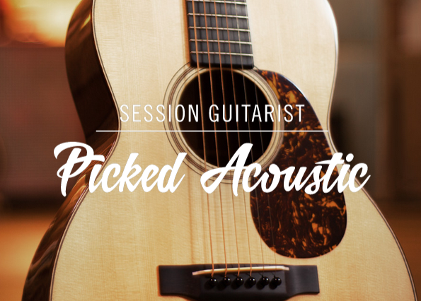 Native Instruments Session Guitarist - Picked Acoustic