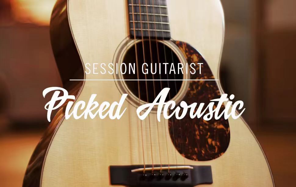 Native Instruments Session Guitarist - Picked Acoustic