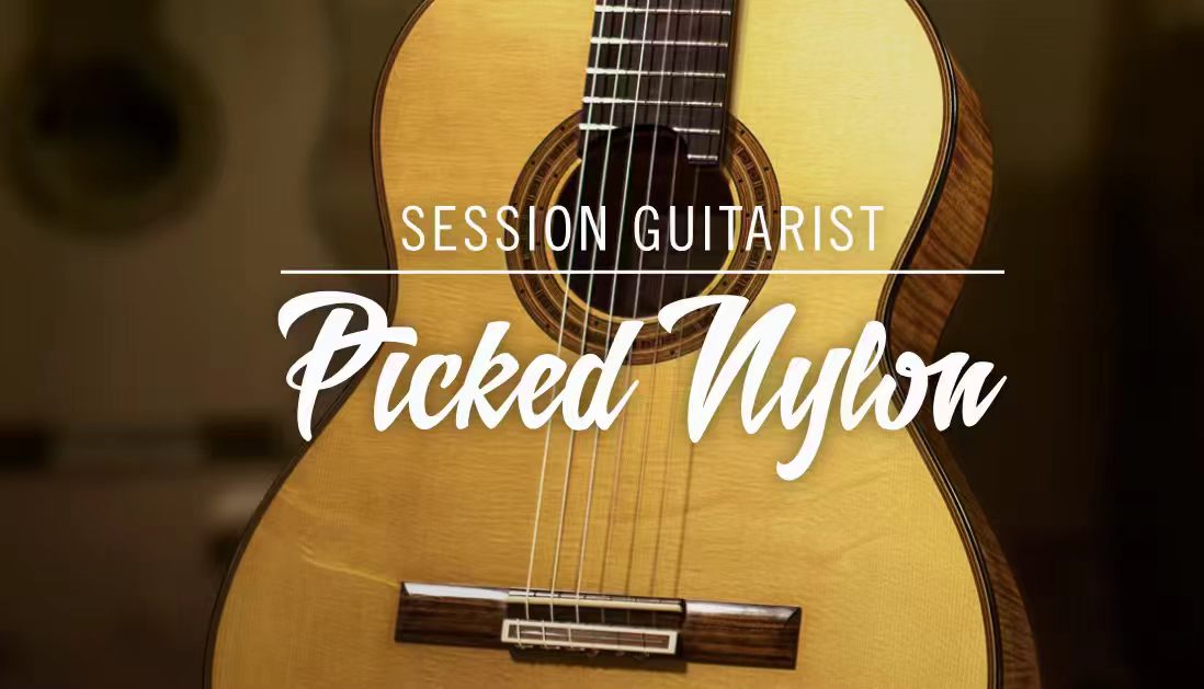 Native Instruments Session Guitarist - Picked Nylon