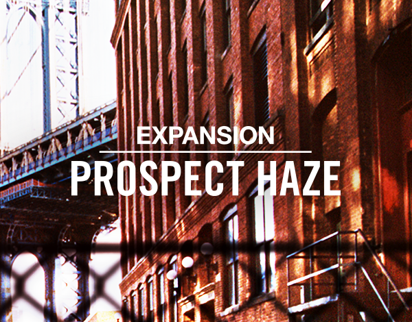 Native Instruments Prospect Haze