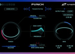 Zynaptiq Punch