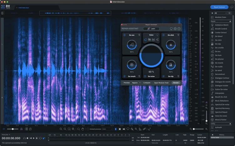 iZotope Izotope Ozone Rx 10 standard