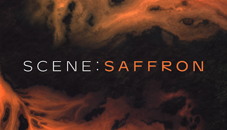 Native Instruments Scene - Saffron