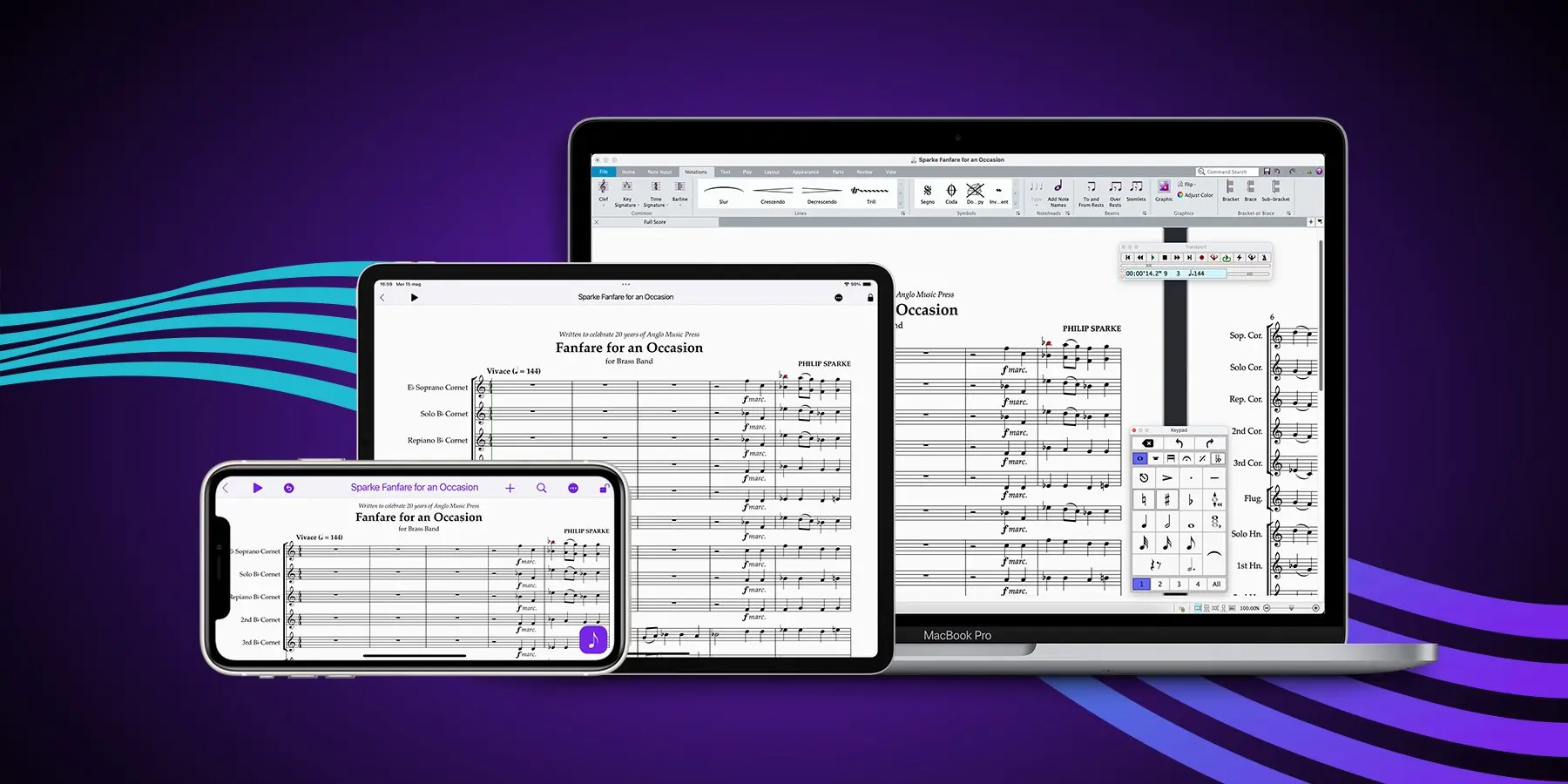 Avid Sibelius Ultimate 2025 (Perpetual License)
