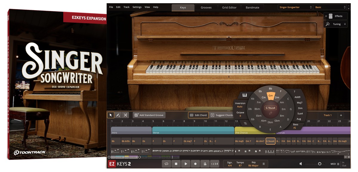 Toontrack Singer-Songwriter EKX - for EZkeys 2