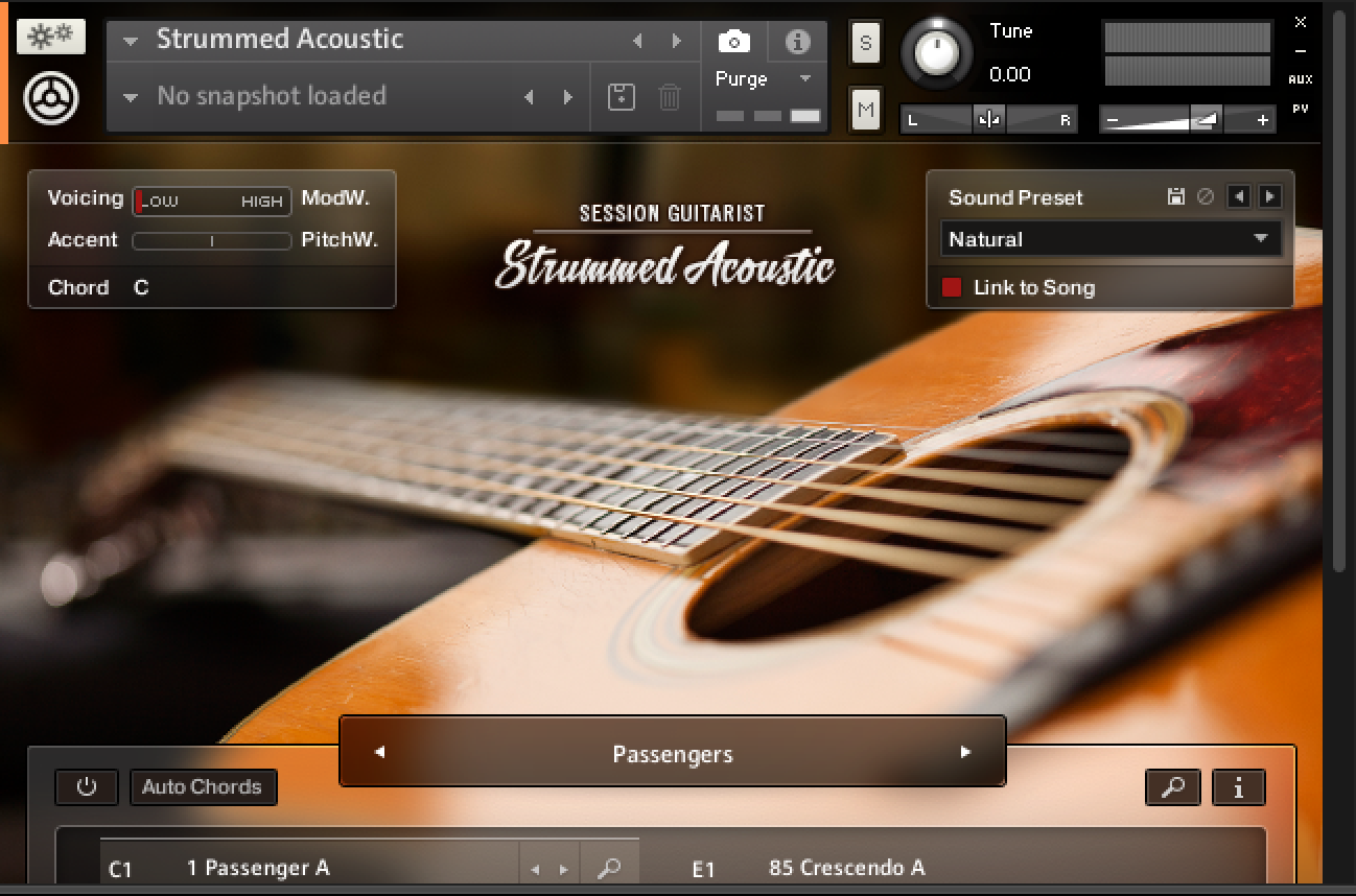 Native Instruments Session Guitarist Strummed Acoustic