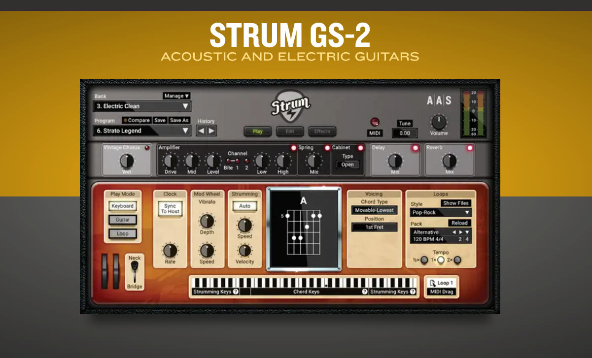 AAS Applied Acoustics Systems Strum GS-2