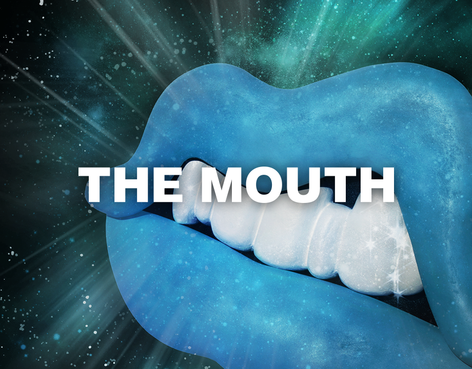 Native Instruments The Mouth