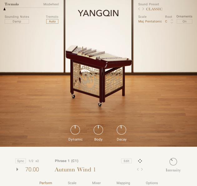 Native Instruments Yangqin