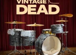 XLN Audio Addictive Drums 2 | Vintage Dead + MIDIpak + Kitpi